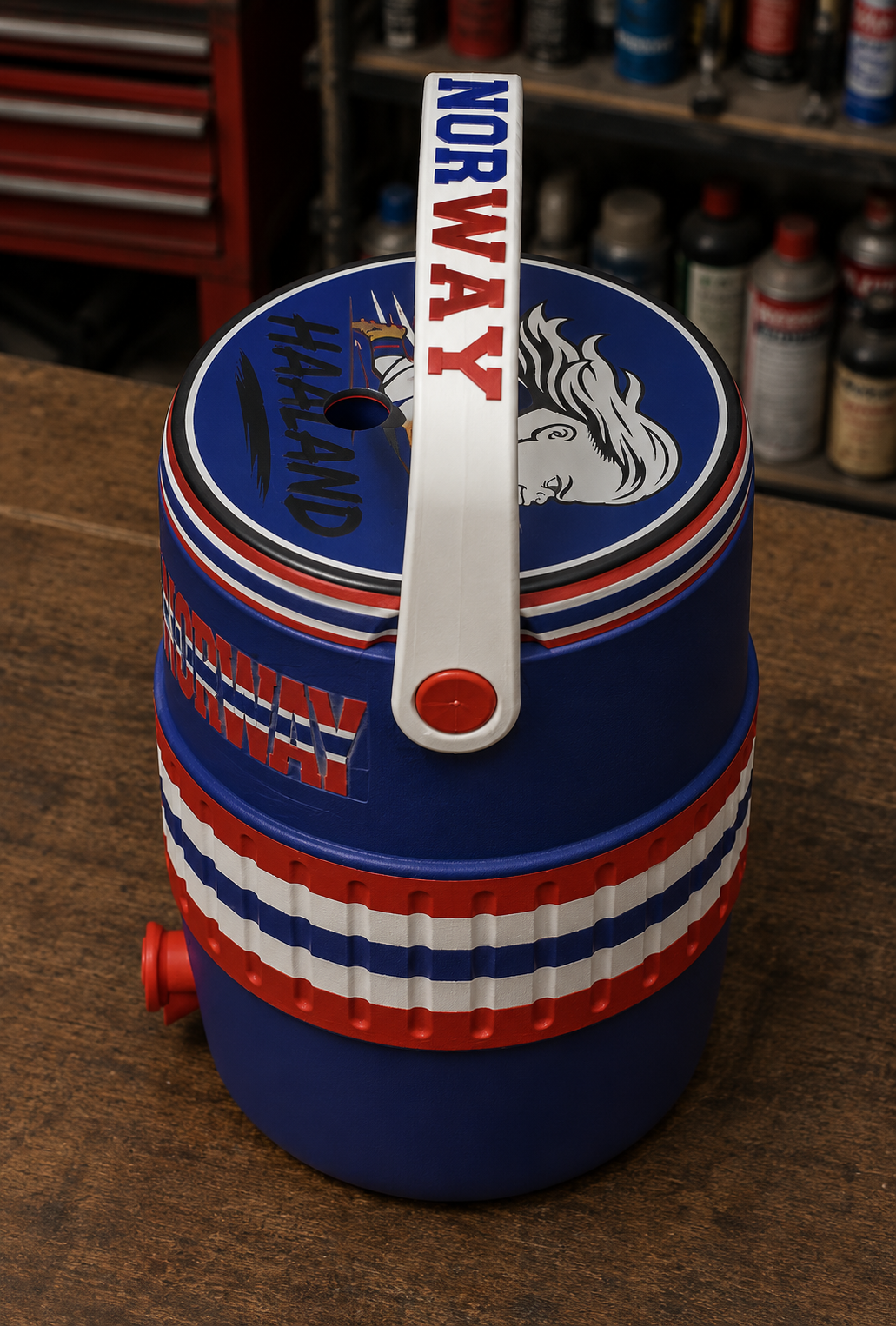 Norway Haaland Coozie