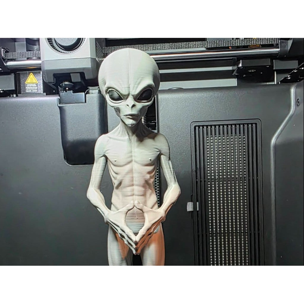 THEM 1947 Alien Grey: Their Leader, 3D printed THEM 1947 alien grey figure
