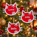 Personalized Cat Name Christmas Ornaments (Pack of 2), 3D printed Christmas ornament